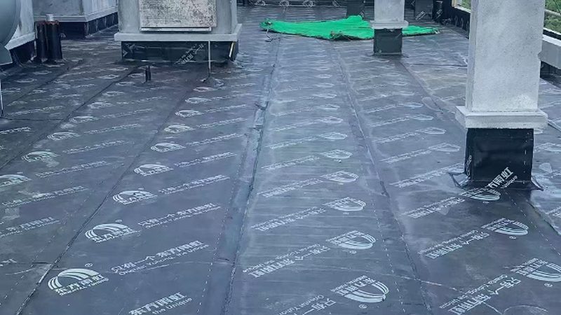 小标题：一、卫生间防水的重要性